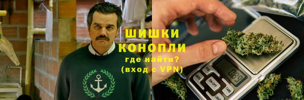 ГАЛЛЮЦИНОГЕННЫЕ ГРИБЫ Инта