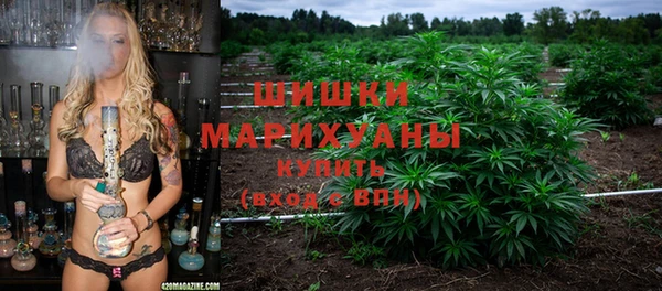 ПСИЛОЦИБИНОВЫЕ ГРИБЫ Инсар
