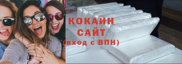 ГАЛЛЮЦИНОГЕННЫЕ ГРИБЫ Инта