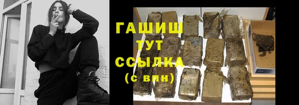 ГАЛЛЮЦИНОГЕННЫЕ ГРИБЫ Инта