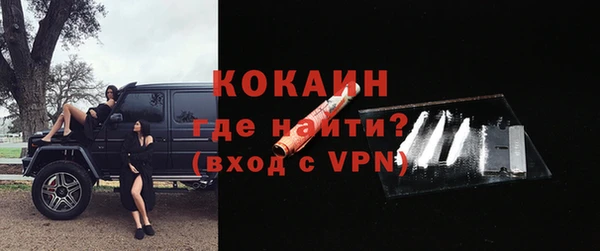 ПСИЛОЦИБИНОВЫЕ ГРИБЫ Инсар