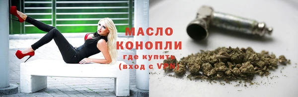 ПСИЛОЦИБИНОВЫЕ ГРИБЫ Инсар