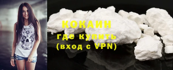 ПСИЛОЦИБИНОВЫЕ ГРИБЫ Инсар