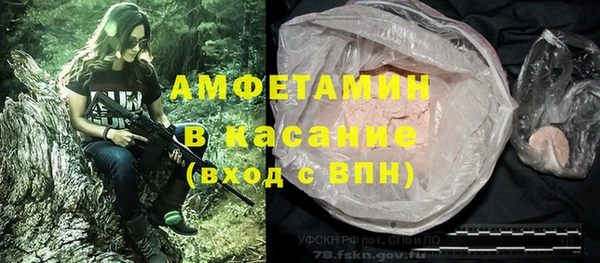 ГАЛЛЮЦИНОГЕННЫЕ ГРИБЫ Инта