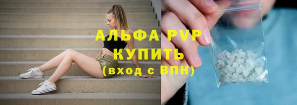 ГАЛЛЮЦИНОГЕННЫЕ ГРИБЫ Инта