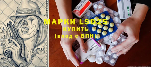 ПСИЛОЦИБИНОВЫЕ ГРИБЫ Инсар