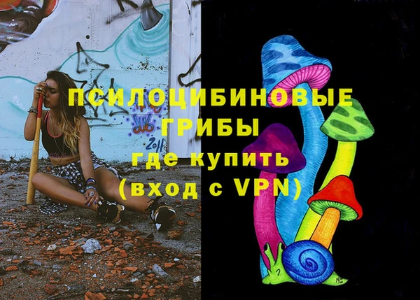ALPHA PVP Иннополис