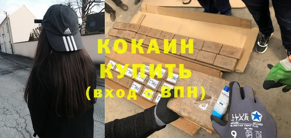 ПСИЛОЦИБИНОВЫЕ ГРИБЫ Инсар