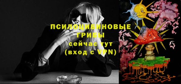 ГАЛЛЮЦИНОГЕННЫЕ ГРИБЫ Инта