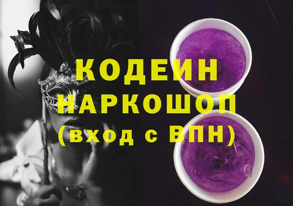 ГАЛЛЮЦИНОГЕННЫЕ ГРИБЫ Инта