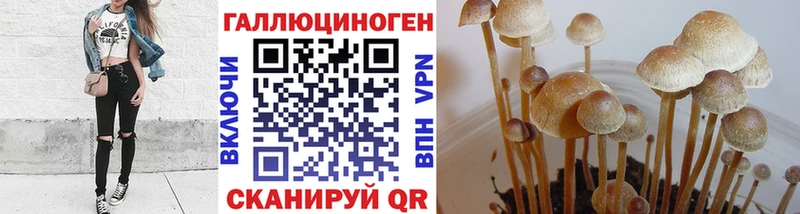 Купить где  Бронницы  Псилоцибиновые грибы прущие грибы 